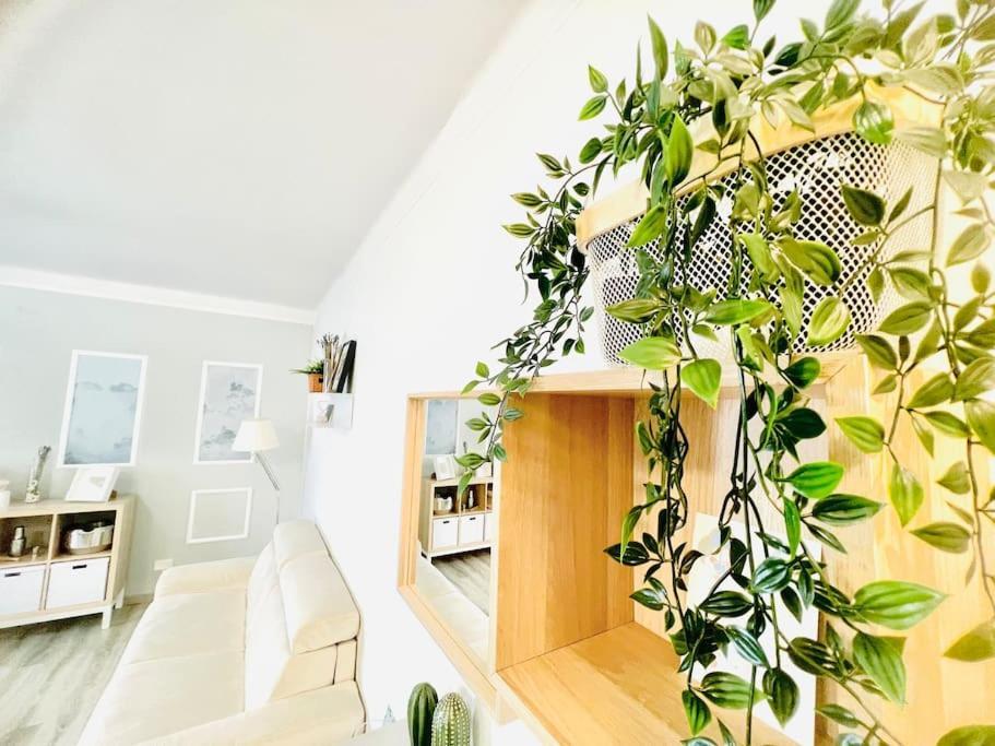 Suite Colibri - Sanremo Centro Exterior photo