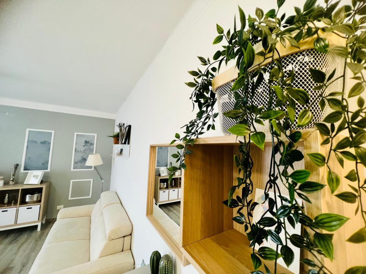 Suite Colibri - Sanremo Centro Exterior photo